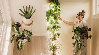 My Unique Houseplants Collection 🪴| How to Tend to the Garden of Your Soul~