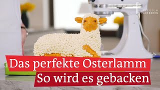 Osterlamm backen:  Das perfekte Lamm mit Buttercreme zu Ostern + Rezept screenshot 1