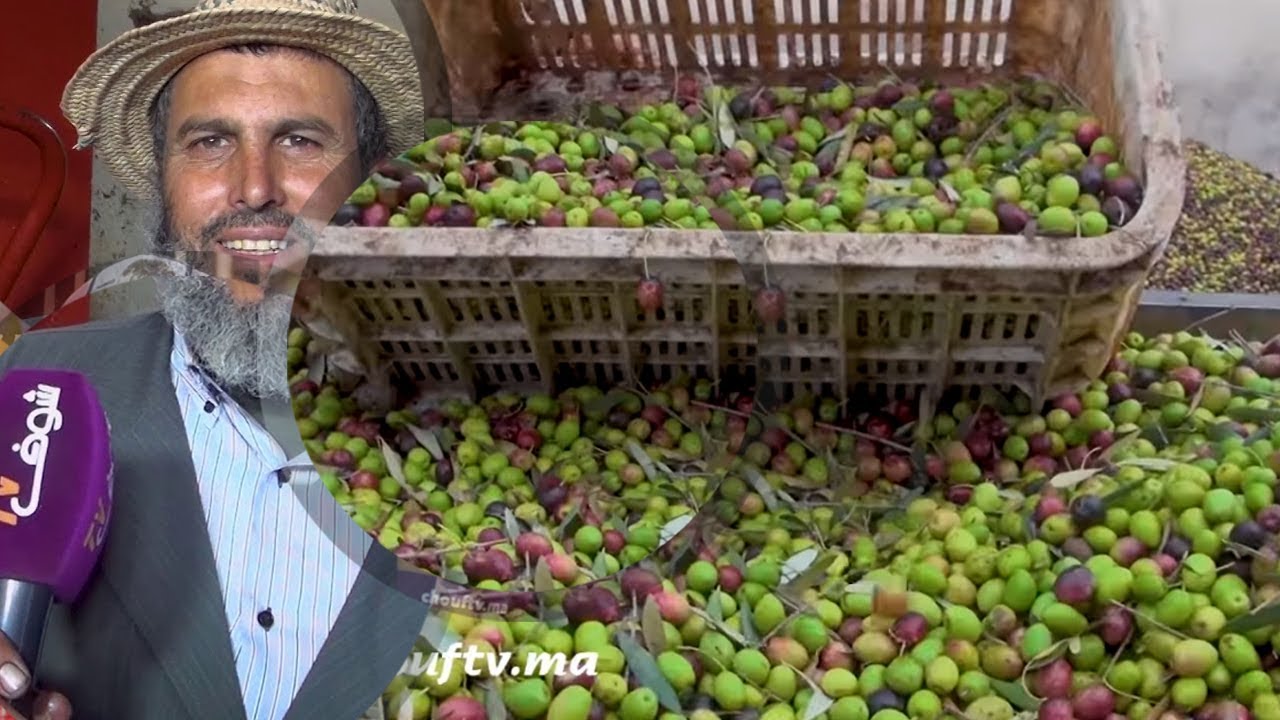 من قلب أشهر منطقة معروفة بزيت الزيتون بالعطاوية..شوفو المراحل اللي كيتصاوب بها زيت العود عن قرب