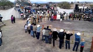 san francisco rancho viejo 2013 #3
