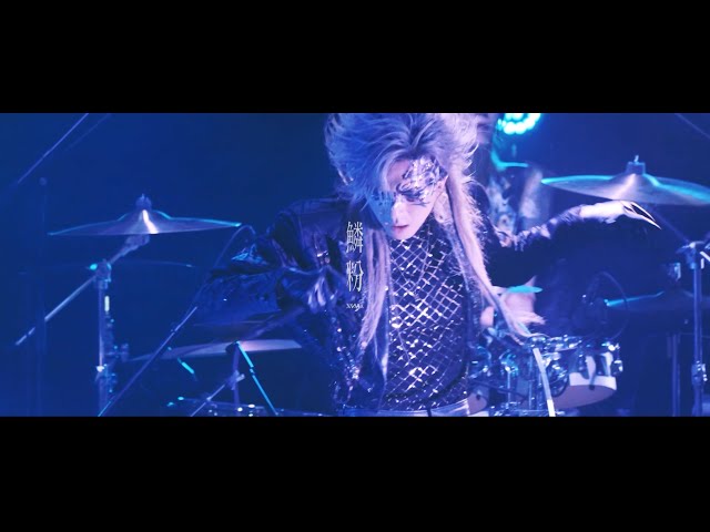XANVALA - 鱗粉 [LIVE MV] - YouTube