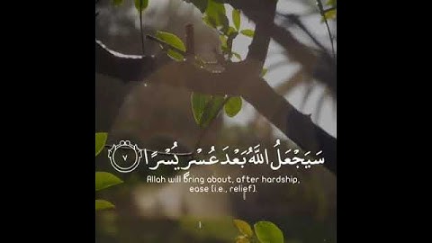 تلاوه خاشعه | بصوت القارئ احمد النفيس | حالات واتس اب دينيه♥♥.