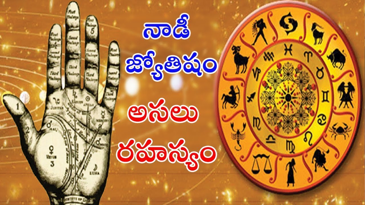 31 Sri Agastya Sri Kousika Nadi Astrology Bangalore Karnataka Zodiac Art Zodiac And Astrology
