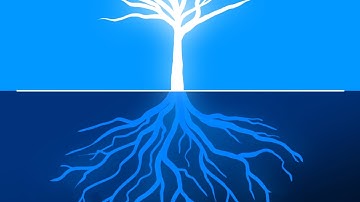 Interconnected Disaster Risks 2025: Turning Over a New Leaf - Explainer