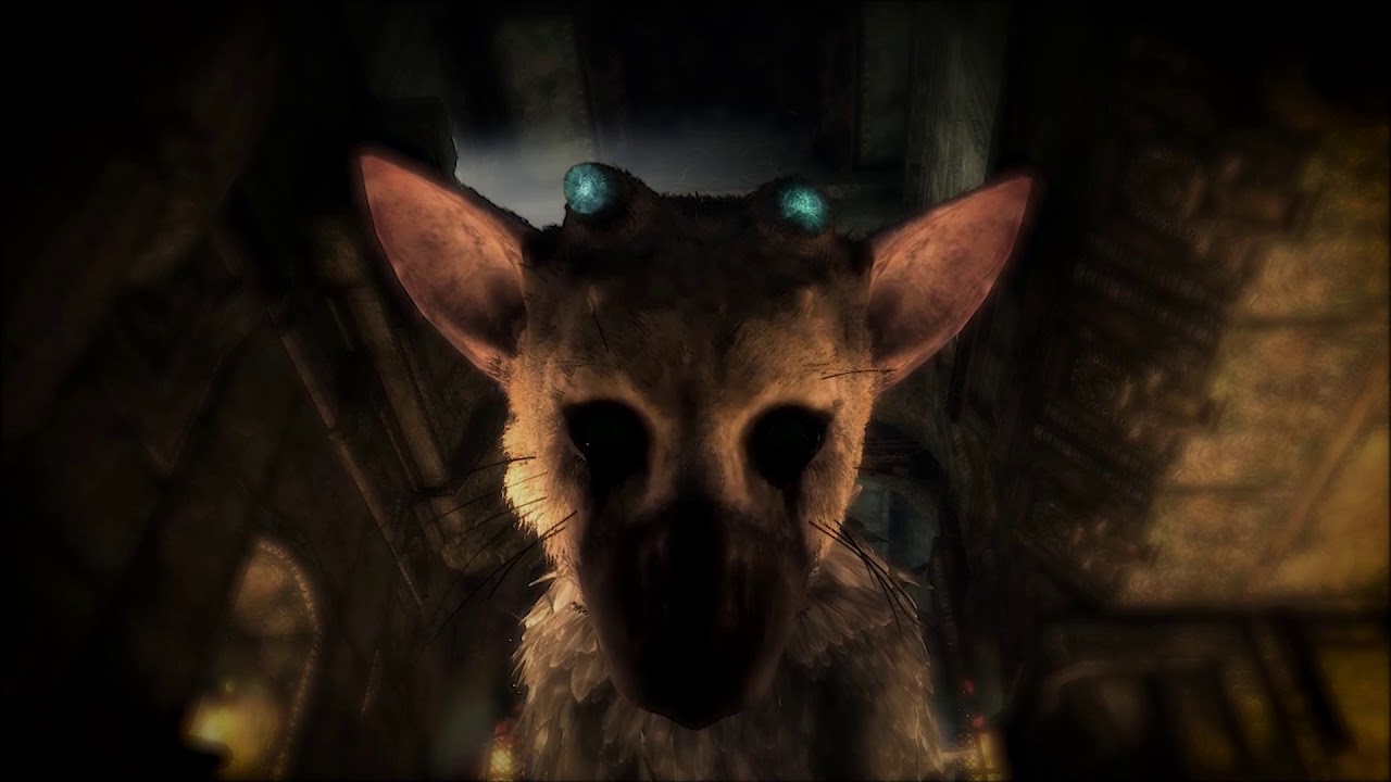The Last Guardian Trico Ambiance Fire Trico Sounds Live The Last Guardian Trico Ambiance Fire Trico Sounds Live