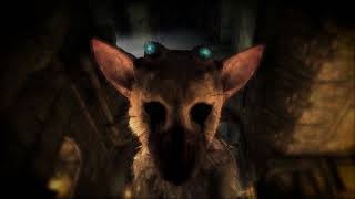 The Last Guardian - Trico Ambiance (fire, trico sounds, live wallpaper) screenshot 5
