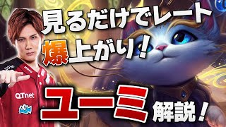 シャム猫のユーミ LOL リーグ・オブ・レジェンド アクションフィギュア