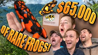 UNBOXING $65,000 RARE FROGS FOR CONSERVATION!! | Tesoro&#39;s de Colombia dart frog IMPORT!