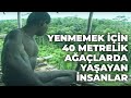 YENMEMEK İÇİN 40 METRELİK AĞAÇLARDA YAŞAYAN İNSANLAR