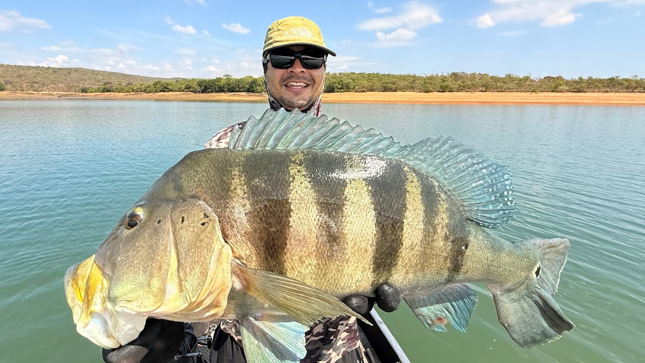 СИНИЙ ТУКУНАРЕ НА ПЛОТИНЕ ТРЕС-МАРИАС MG #BLUE BRUTE #GIANT #60UP #RECORD