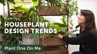 2024 HOUSEPLANT DESIGN TRENDS  — Ep. 365