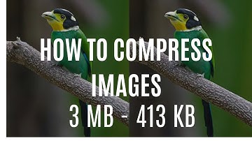 How To Compress Images Without Losing Quality