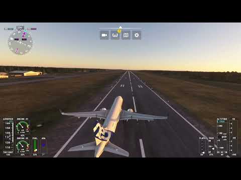 Microsoft flight Sim
