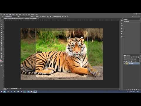 ფოტოშოპის საბაზისო გაკვეთილების სერია. გაკვეთილი 1