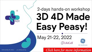 Celebrity 3D 4D Made Easy Peasy: 2 days workshop Profile