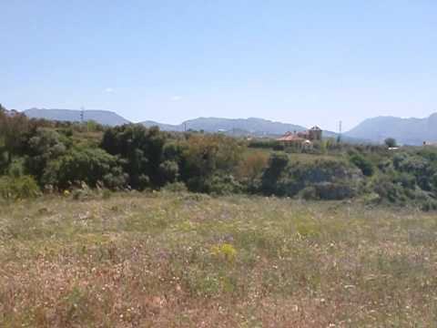 Property in Arriate, Andalucia, reference 969