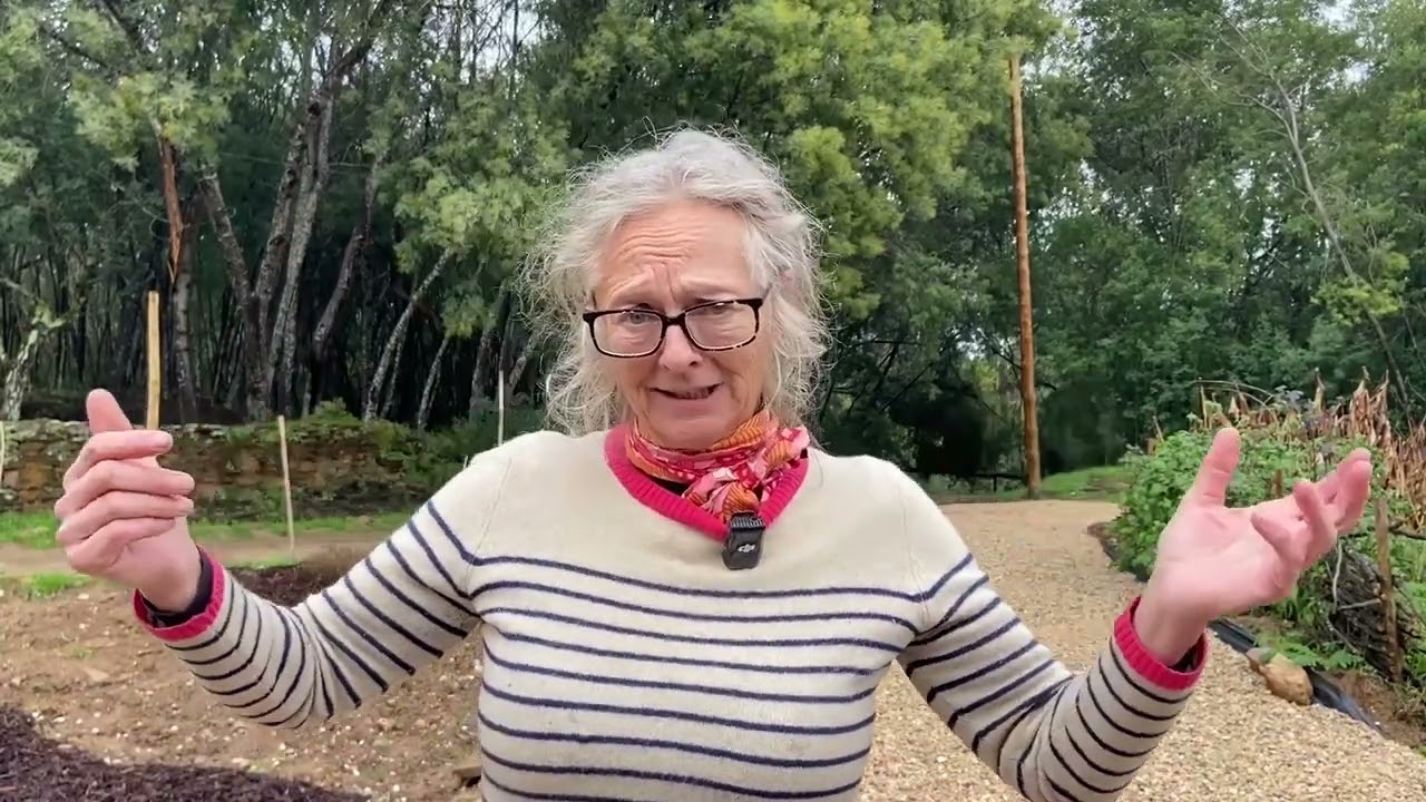 After Storm Kirstin - Central Portugal