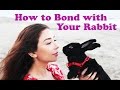 How to Bond with Your Rabbit