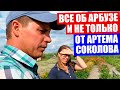 Астрахань 2020. Экскурсия по уникальному в Астрахани овоще-бахчевому полю. Дегустация арбузов и дынь