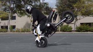 Extended Grom Wheelies And Stoppies By Bullowcc X Westcoast Connection