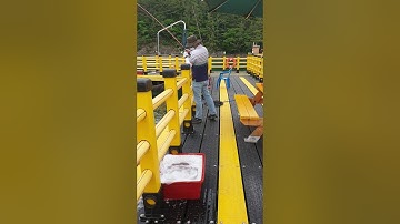 Du lịch câu cá bè ở hàn quốc!