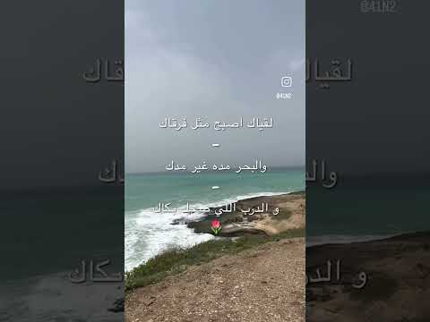 لقياك اصبح مثل فرقاك ترندتيكتوك اصالة نصري اصاله اصالة اقتباسات السعودية اغاني خليجية سوريا لايك