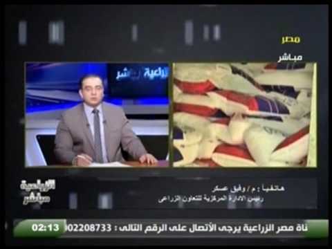 مصر الزراعية تعرف على ما يحدث فى الجمعية التعاونية بالزراعية مباشر 5 يناير