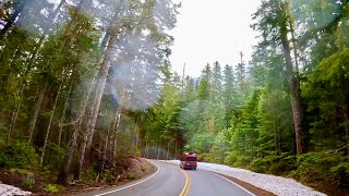 4K Mysterious Drive Through Iconic Mount Rainier National Forest
