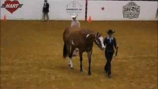 Halter 5