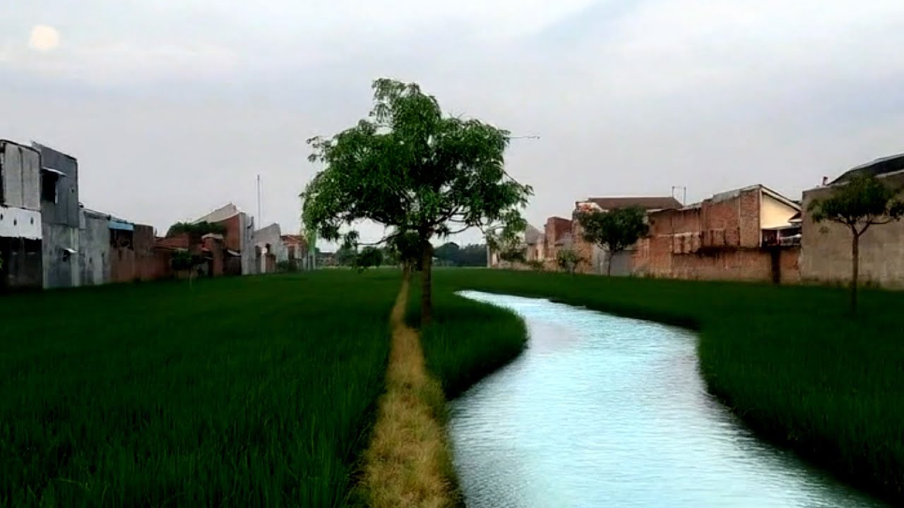 SLEEP STREAM WITH RELAXING PIANO SOUND EFFECT AND NATURE VIBES 🌿🎼