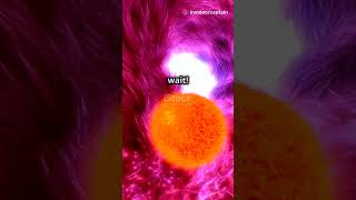 How Identical Twins Are Conceived A Quick Guide Captains Science