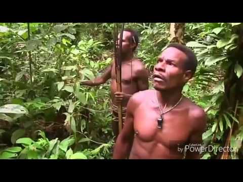 Video: Bagaimana Orang Kuno Berburu