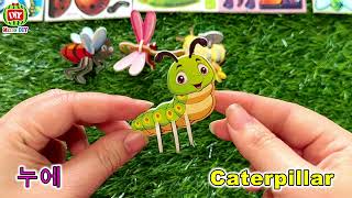Learn insects names with 3D puzzle (in English and Korean) screenshot 3