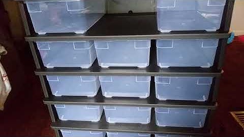 animal Plastics 3:30 hatchling rack