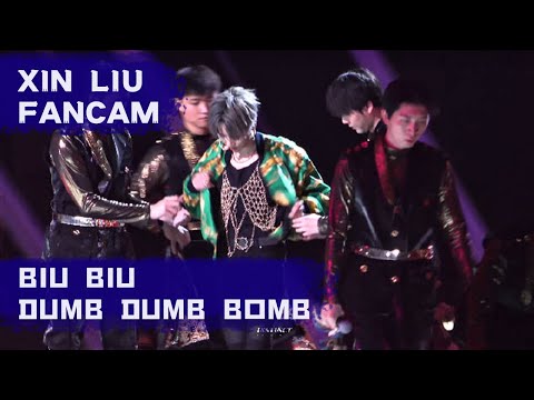 XIN Liu | 刘雨昕 BIUBIU & Dumb Dumb Bomb Fancam No.1 新歌舞台饭拍