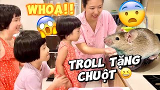 Troll Tặng Chuột cho 3 chị em. 4 mẹ con thật biết yêu thương động vật 😨😅😆