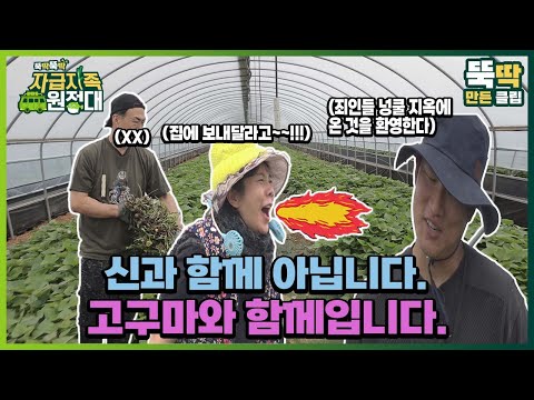 [뚝딱뚝딱 자급자족 원정대] 23회 신과 함께 아닙니다. 고구마와 함께입니다.