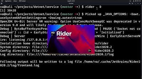 ASP.NET Core Web API in Linux for decoupled project setup