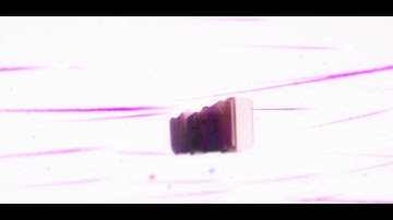 [INTRO] ULFSEN [ENTRY] [DUAL WITH ARRGPEVEPE IDIOTIC] #ulfsenc1