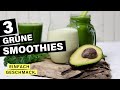 GRÜNE SMOOTHIES für Anfänger | 3 Rezepte | einfachgeschmack