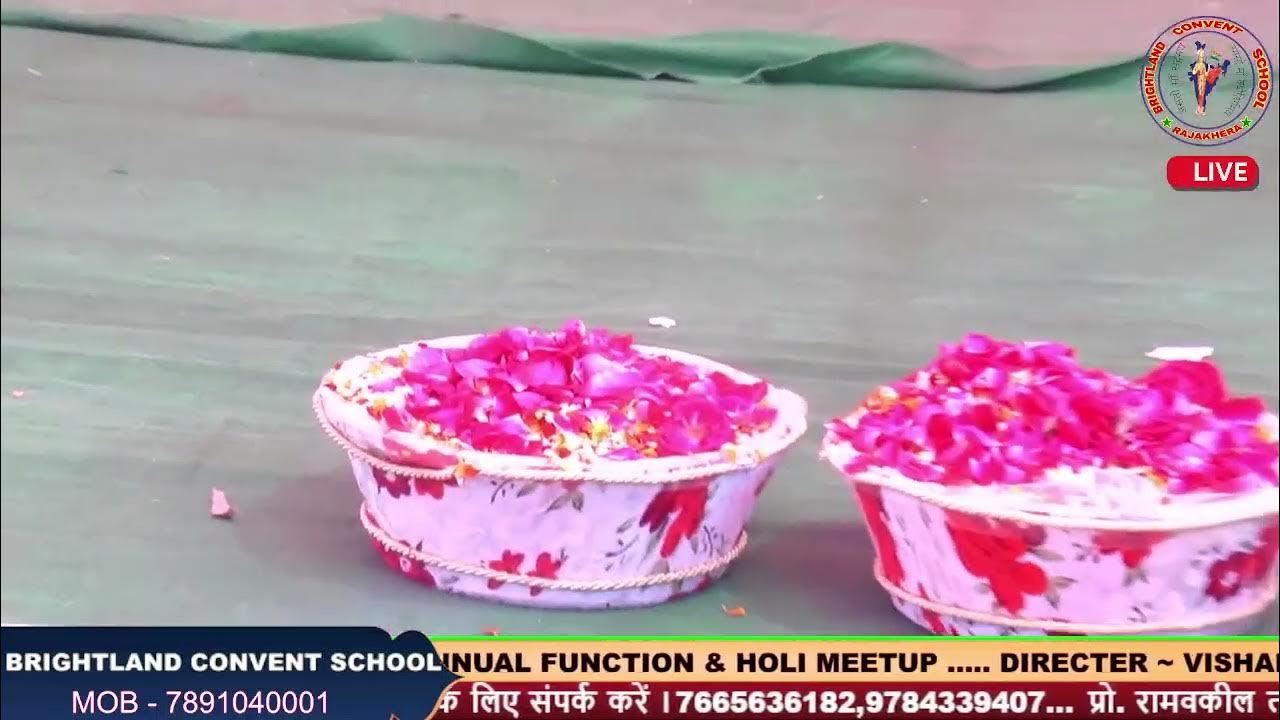 annual function holi light play school
