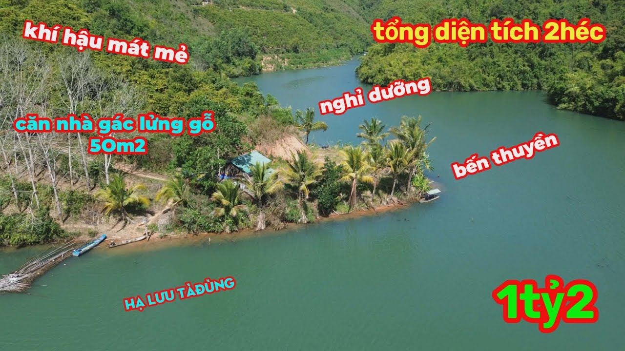 Siêu Phẩm Căn Nhà Gỗ bị lãng quên ở hạ lưu Tà Đùng,Đăk Nông,phù hợp Nghỉ Dưỡng,Định Cư,giá 1 TỶ 2