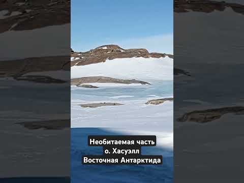 🐧🐧#Прогулки По Антарктиде