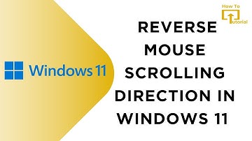 How to Reverse Mouse Scrolling Direction In Windows 11
