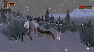 Firn Has Back Up! | Thunder-Howl-Pack | Wolf Quest AE | Part 2