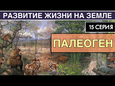 Видео: Какъв е стандартният срок на валидност на шенгенска виза