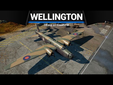 Video: V zahodnem rtu Wellington?