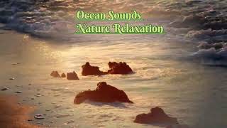 Ocean Sounds Soothing Nature Relaxation by NATURE'S BEAUTY  137 views 1 month ago 10 minutes, 9 seconds