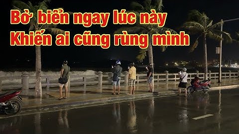Bờ biển ngay lúc này khiến ai cũng rùng mình