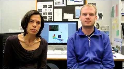 Single-cell profiling of epigenetic modifiers in the early mammalian embryo